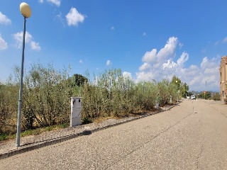 Concejo De La Mesta 4