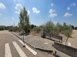 Concejo De La Mesta 5