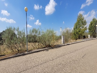 Concejo De La Mesta 6