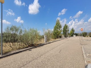 Concejo De La Mesta 7