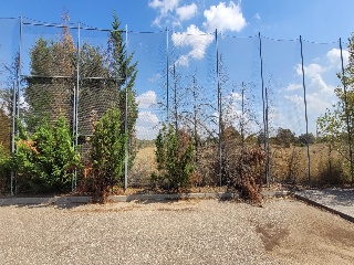 Concejo De La Mesta 9
