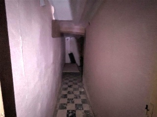 Corsini 7