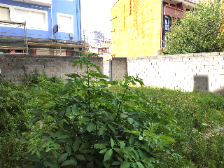 Argumosa 3