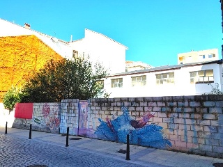 Argumosa 6
