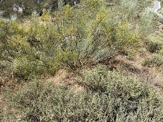 3. Parcela 2