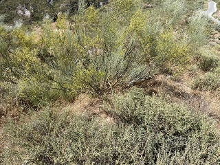 3. Parcela 5