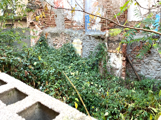 S Jaume 6