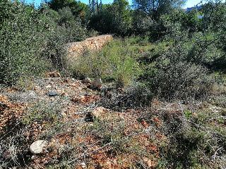 Poligono 49 5