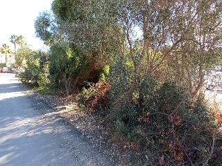 Poligono 49 9