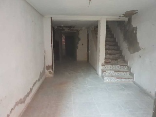Pavia 5