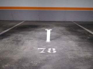 Joven Futura 2