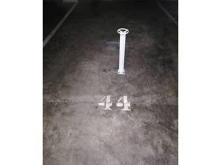 Joven Futura 3