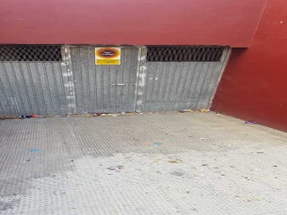 Zorrilla 2