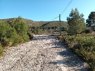 Llanorel 3