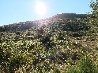 Llanorel 4