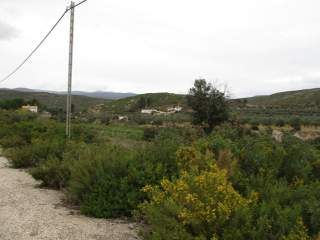 Llanorel 3