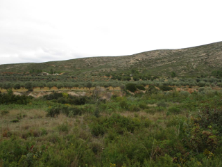 Llanorel 4