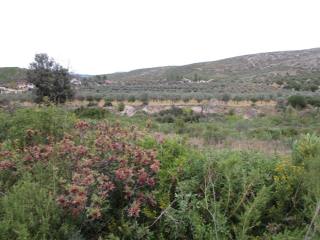 Llanorel 5