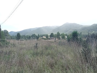 Llanorel 13