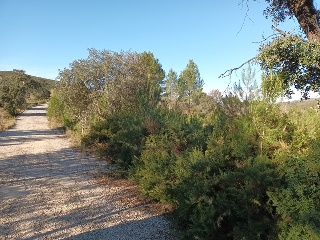 Llanorel 14