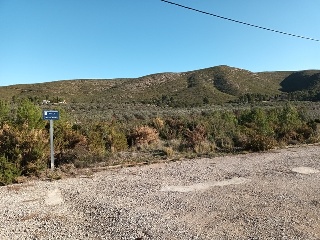 Llanorel 15