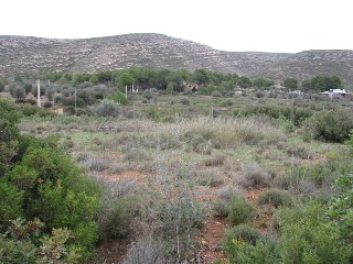 Llanorel 3