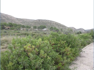 Llanorel 4