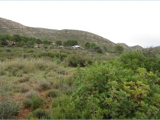 Llanorel 5