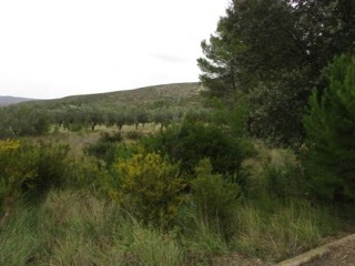 Llanorel 2