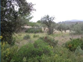Llanorel 7