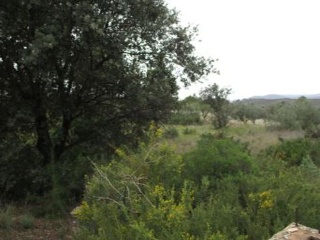 Llanorel 8