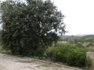 Llanorel 9