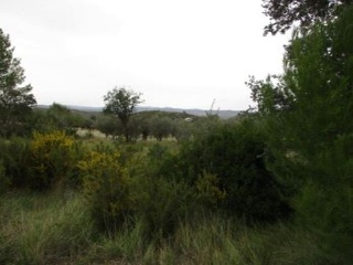 Llanorel 10