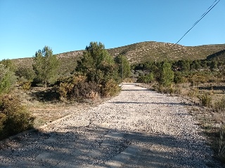Llanorel 11