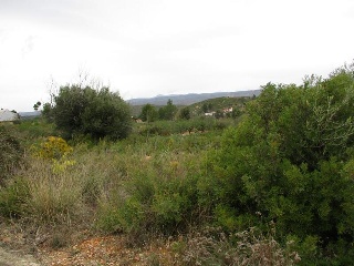 Llanorel 2