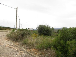 Llanorel 3