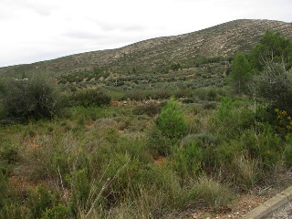 Llanorel 4