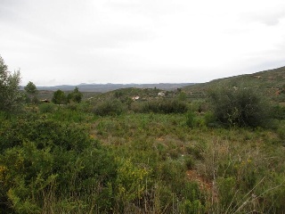 Llanorel 5
