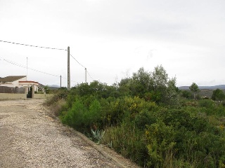 Llanorel 6