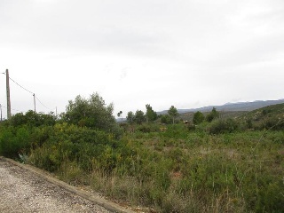 Llanorel 8