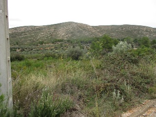 Llanorel 9