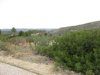 Llanorel 10
