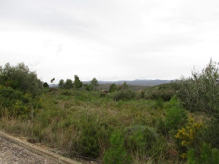 Llanorel 11