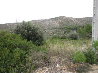 Llanorel 12