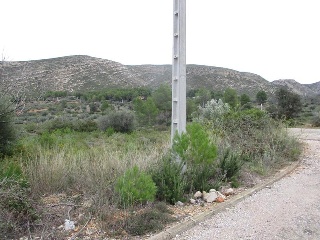 Llanorel 13