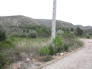 Llanorel 15
