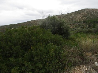 Llanorel 17