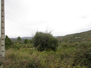 Llanorel 20
