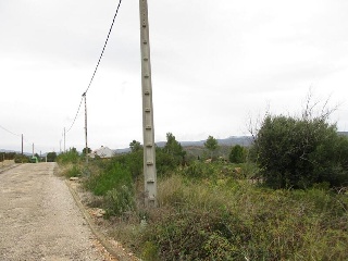 Llanorel 21