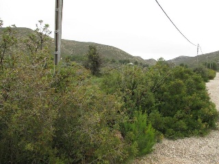 Llanorel 3